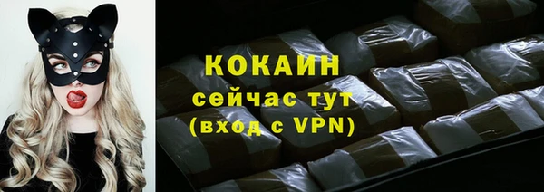 СК Волоколамск