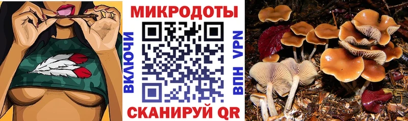 Купить закладки  Юрьевец  Галлюциногенные грибы ЛСД 